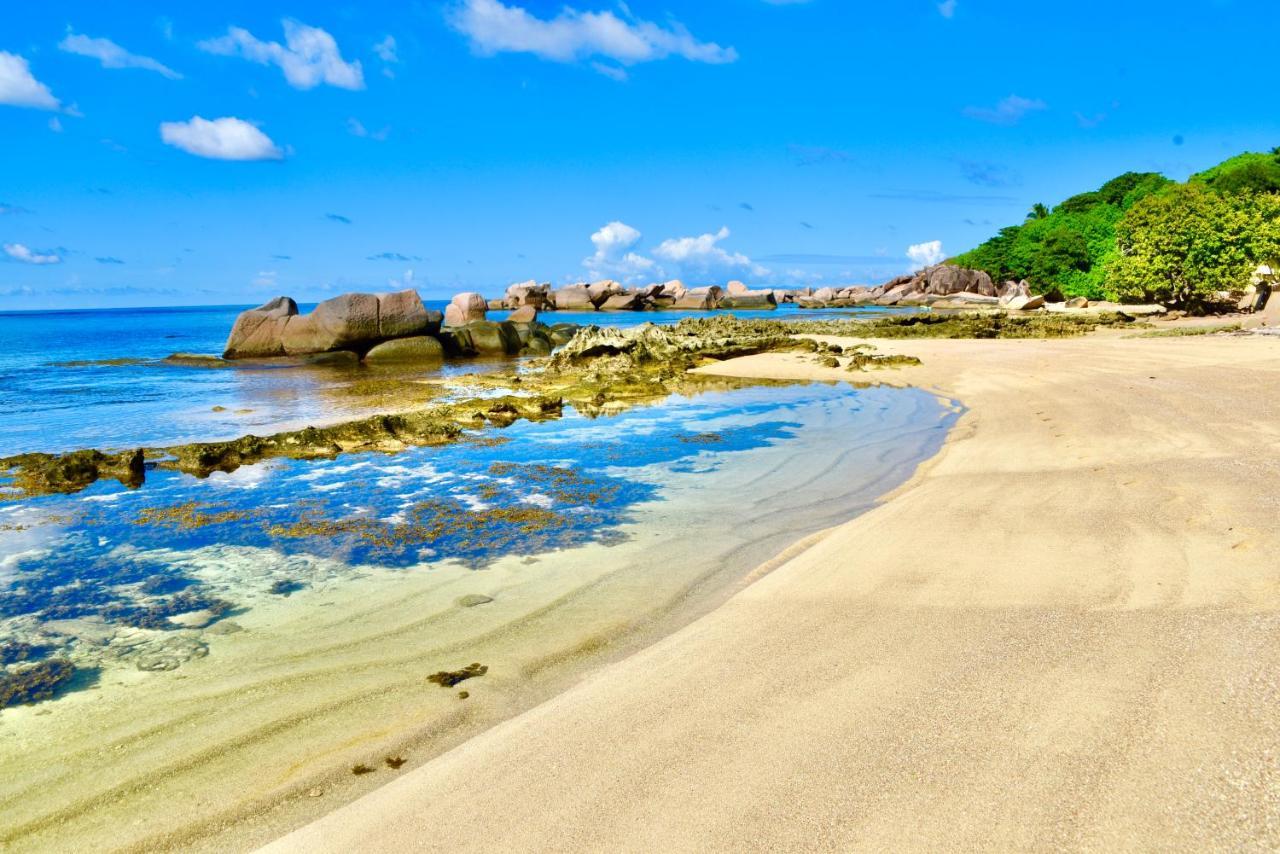 Sea Splash Self Catering And La Petite Maison Grand Anse  Exteriör bild