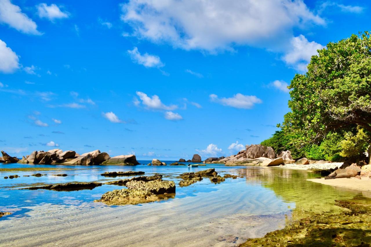 Sea Splash Self Catering And La Petite Maison Grand Anse  Exteriör bild