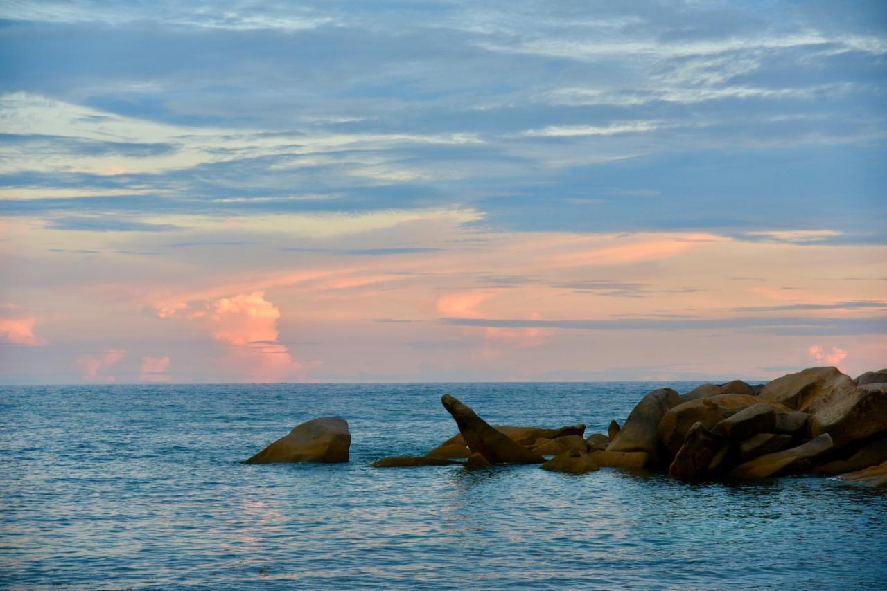Sea Splash Self Catering And La Petite Maison Grand Anse  Exteriör bild